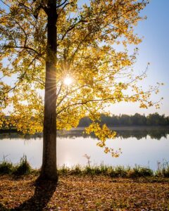 Ga4a658ef0a8889014f6271e1904e4c4f0af8a6a6bddcd9322c13c0602851e7f89bc25f8afaed0f285381191aed60857d682822a150931a3cd6f08faed28a29cc 640