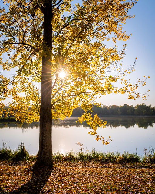 Ga4a658ef0a8889014f6271e1904e4c4f0af8a6a6bddcd9322c13c0602851e7f89bc25f8afaed0f285381191aed60857d682822a150931a3cd6f08faed28a29cc 640